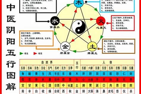 如何查自己的五行|如何查自己五行什么命 快速查自己的五行属性